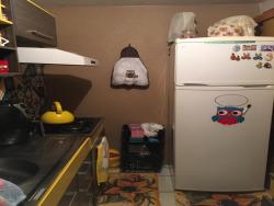 Apartamento para Venda em Sapucaia do Sul - 5