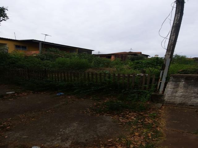 Área para Venda em Sapucaia do Sul - 4