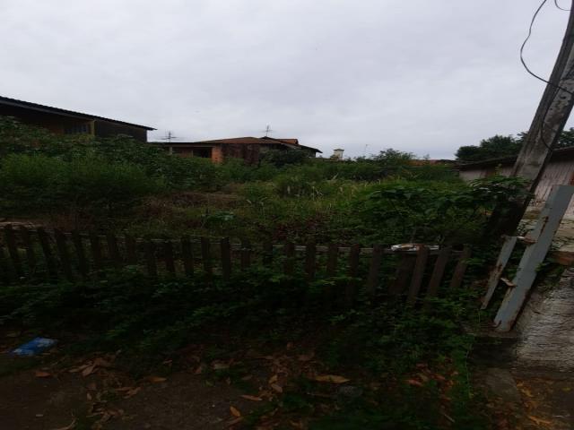 Área para Venda em Sapucaia do Sul - 3