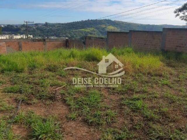 Área para Venda em Sapucaia do Sul - 2