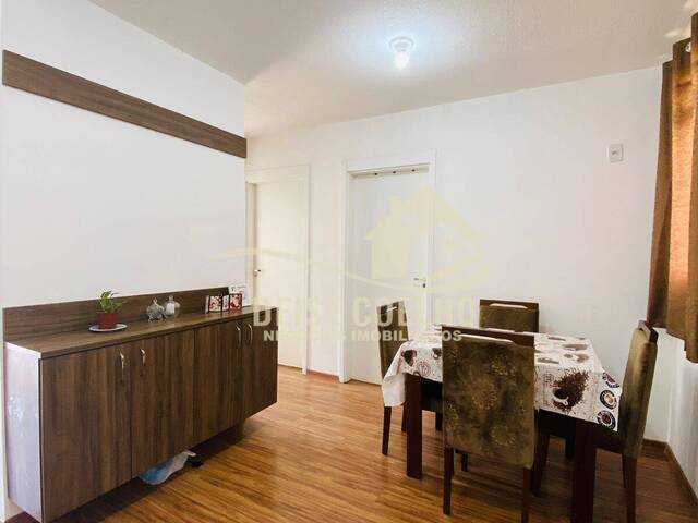 Apartamento para Venda em Sapucaia do Sul - 2