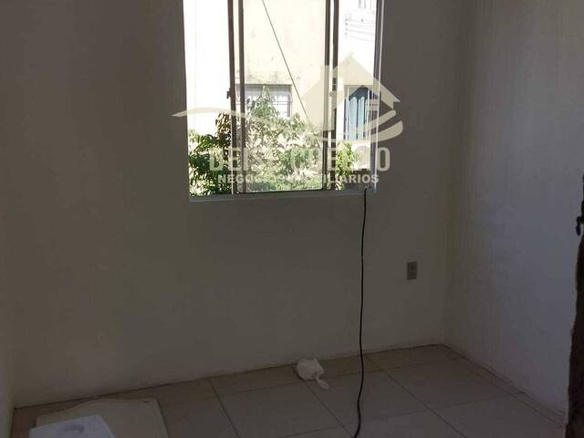 Apartamento para Venda em Sapucaia do Sul - 5