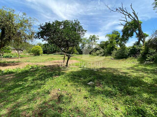 #489 - Terreno para Venda em Sapucaia do Sul - RS - 2