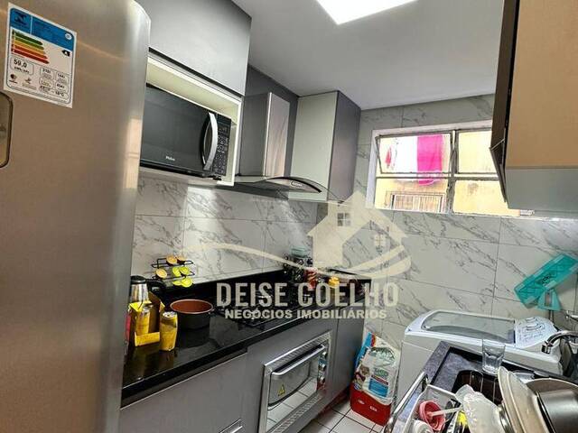 Apartamento para Venda em Sapucaia do Sul - 3