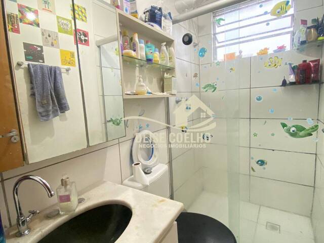 Apartamento para Venda em Sapucaia do Sul - 3