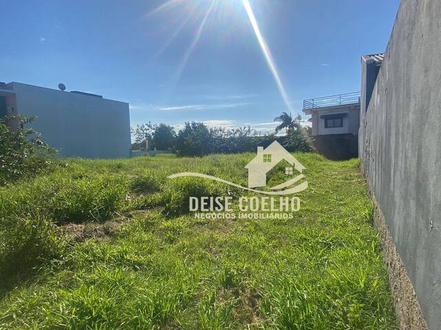 Área para Venda em Sapucaia do Sul - 3