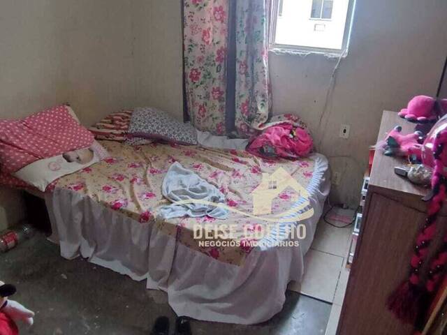 Apartamento para Venda em Sapucaia do Sul - 3