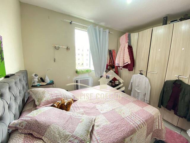 Apartamento para Venda em Sapucaia do Sul - 2