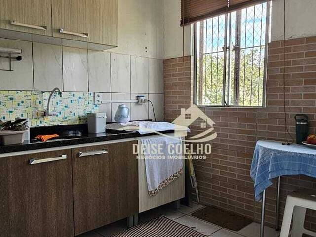Apartamento para Venda em Sapucaia do Sul - 2