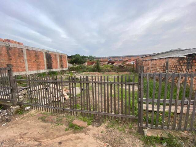 Área para Venda em Sapucaia do Sul - 4