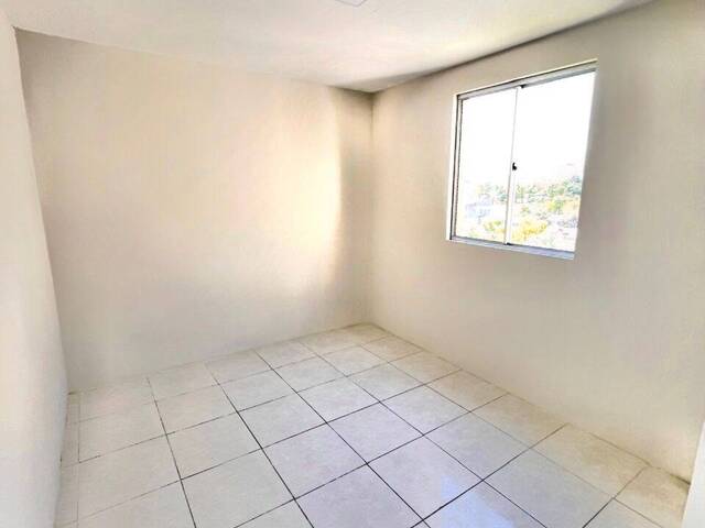 Apartamento para Venda em Sapucaia do Sul - 5