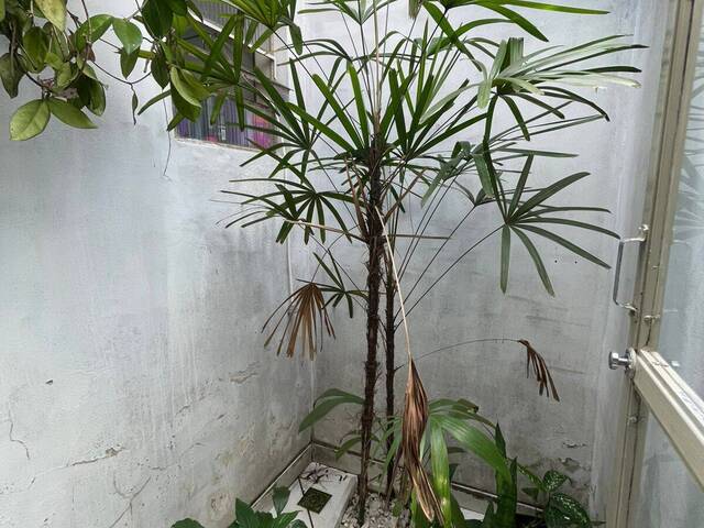 #1431 - Casa para Venda em Sapucaia do Sul - RS - 2