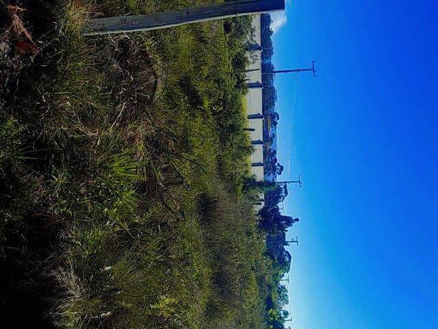 #1433 - Área para Venda em Passo de Torres - SC - 1