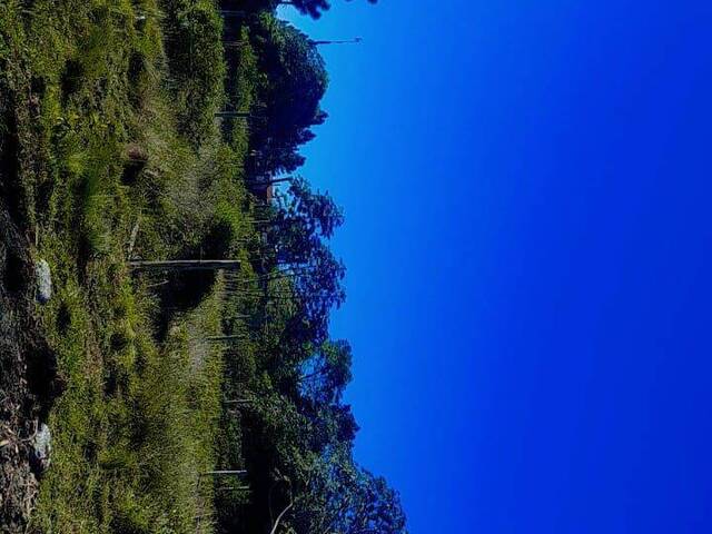 #1433 - Área para Venda em Passo de Torres - SC - 3