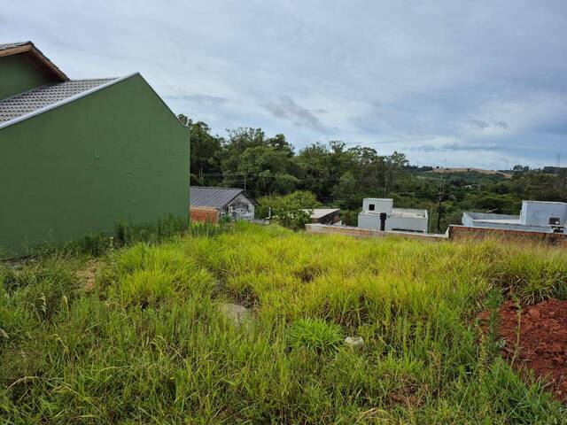 #1567 - Área para Venda em Sapucaia do Sul - RS